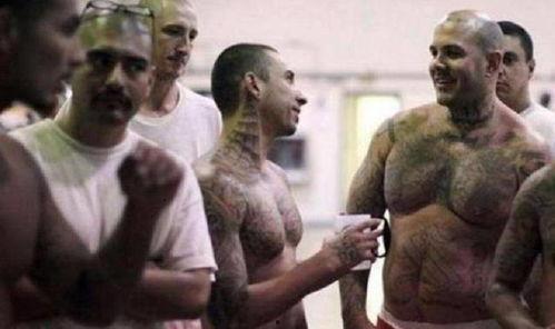 欧美监狱在线观看,在线观看带你走进真实监狱世界