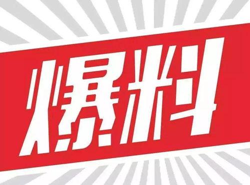 返厂最新爆料图片高清,高清图片揭示神秘细节 第3张 返厂最新爆料图片高清,高清图片揭示神秘细节 第3张