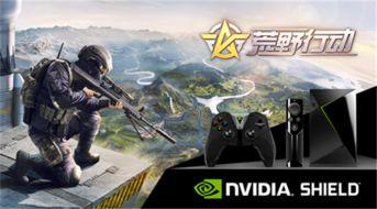 荒原爆料技能介绍视频下载,揭秘技能介绍视频中的隐藏亮点 第1张 荒原爆料技能介绍视频下载,揭秘技能介绍视频中的隐藏亮点 第1张